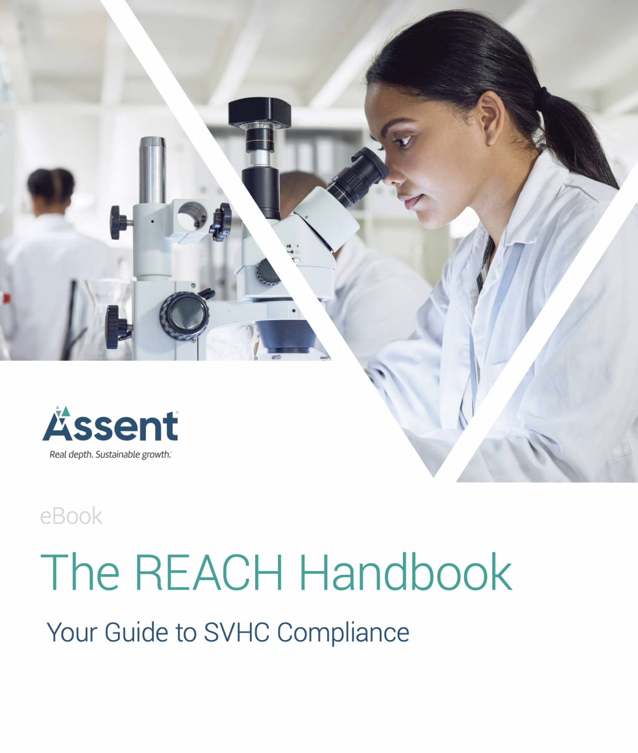 The REACH Handbook Your Guide to SVHC Compliance Assent