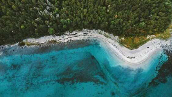 Aerial view of a coastline with a lush green forest meeting a curved white sandy beach, adjacent to clear, turquoise waters.