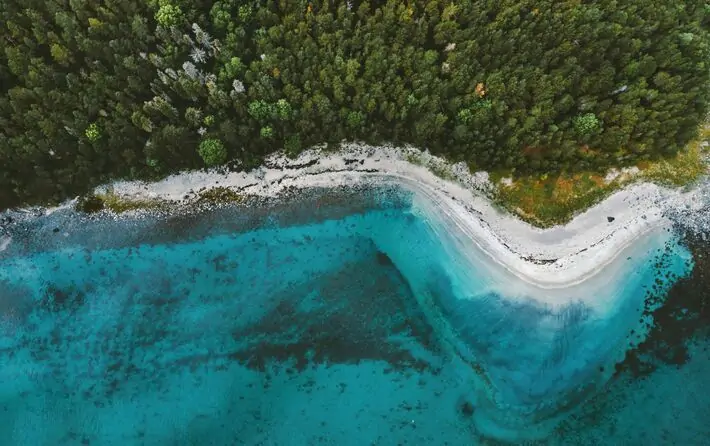 Aerial view of a coastline with a lush green forest meeting a curved white sandy beach, adjacent to clear, turquoise waters.